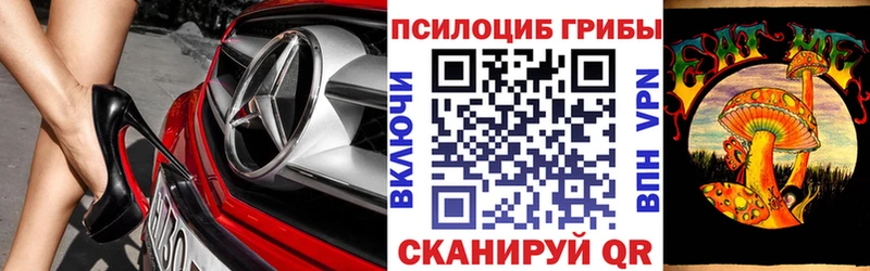 Галлюциногенные грибы прущие грибы  Купить где  Калининград 
